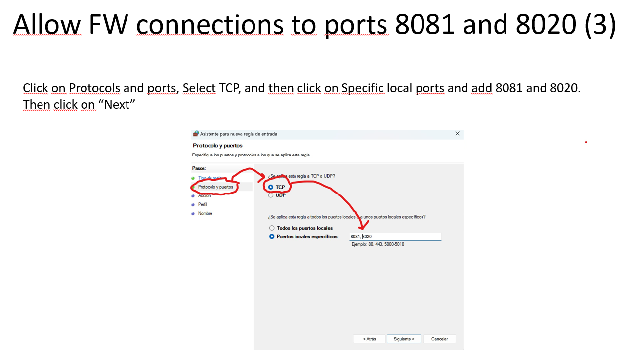 Adding TCP ports 8081 and 8020 to the firewall rule